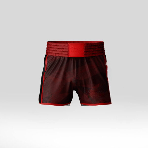 Martial Arts Fight Shorts