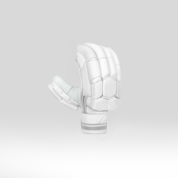 Cricket Batting Gloves